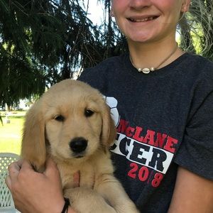 Meet your Posher, Sydney